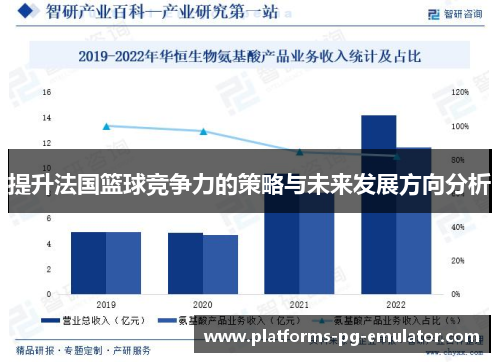 提升法国篮球竞争力的策略与未来发展方向分析 提升法国篮球竞争力的策略与未来发展方向分析