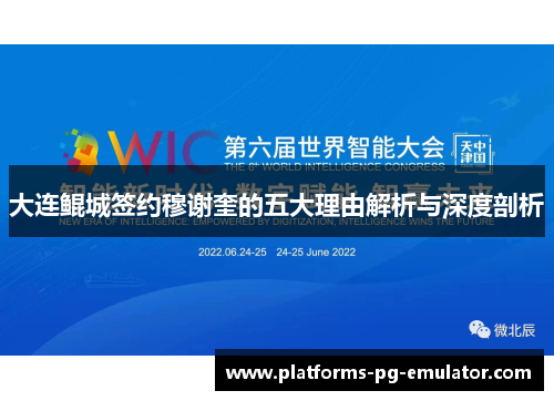 大连鲲城签约穆谢奎的五大理由解析与深度剖析 大连鲲城签约穆谢奎的五大理由解析与深度剖析