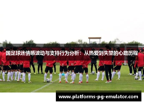 国足球迷情感波动与支持行为分析:从热爱到失望的心路历程 国足球迷情感波动与支持行为分析:从热爱到失望的心路历程