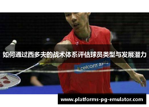 如何通过西多夫的战术体系评估球员类型与发展潜力 如何通过西多夫的战术体系评估球员类型与发展潜力