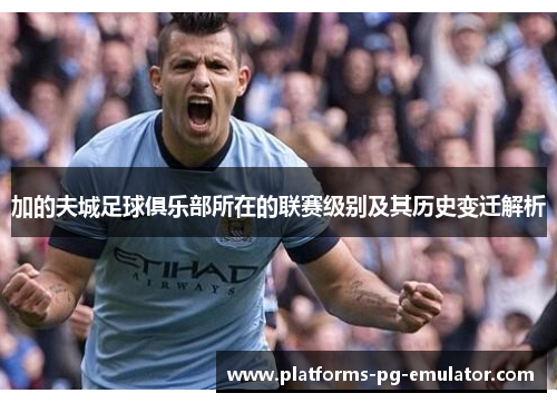 加的夫城足球俱乐部所在的联赛级别及其历史变迁解析 加的夫城足球俱乐部所在的联赛级别及其历史变迁解析