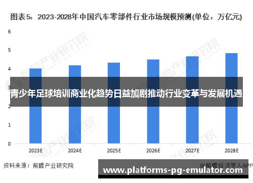 青少年足球培训商业化趋势日益加剧推动行业变革与发展机遇 青少年足球培训商业化趋势日益加剧推动行业变革与发展机遇