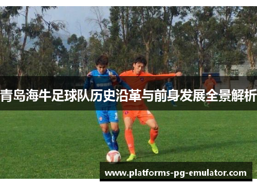 青岛海牛足球队历史沿革与前身发展全景解析 青岛海牛足球队历史沿革与前身发展全景解析