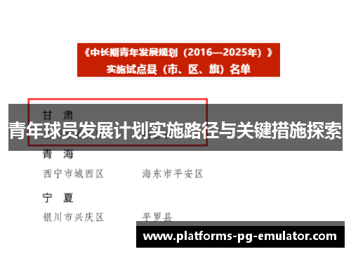 青年球员发展计划实施路径与关键措施探索