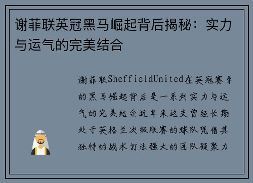 谢菲联英冠黑马崛起背后揭秘：实力与运气的完美结合