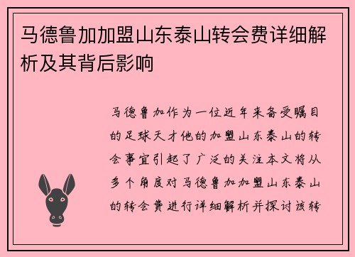 马德鲁加加盟山东泰山转会费详细解析及其背后影响